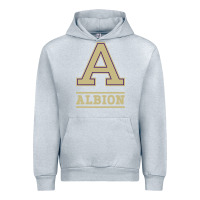 Heather Grey albion college athleticpurple Urban Hoodie - linhVisuals