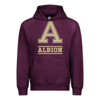 Mauve Wine albion college athleticpurple Urban Hoodie - linhVisuals