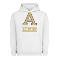 Pigment Lunar Rock albion college athleticpurple Urban Hoodie - linhVisuals