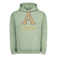 Pigment Oil Green albion college athleticpurple Urban Hoodie - linhVisuals