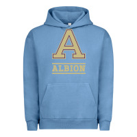 Pigment Pebble Blue albion college athleticpurple Urban Hoodie - linhVisuals