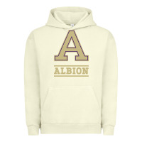Pigment Pistachio albion college athleticpurple Urban Hoodie - linhVisuals