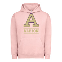 Pigment Salmon albion college athleticpurple Urban Hoodie - linhVisuals