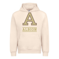 Sandshell albion college athleticpurple Urban Hoodie - linhVisuals