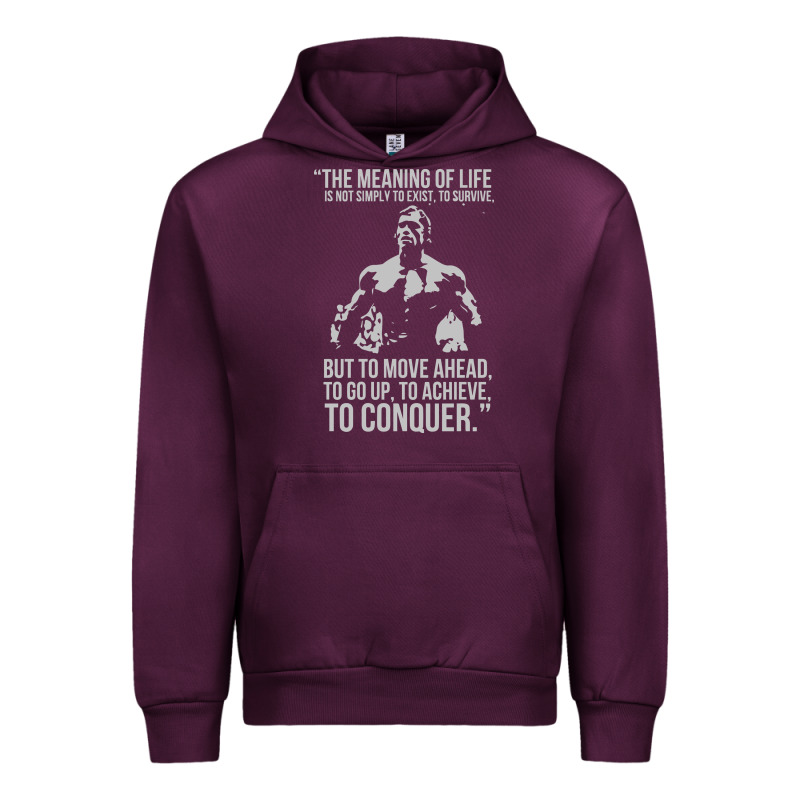Schwarzenegger Arnie Urban Hoodie by linhVisuals | Teevron