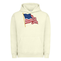 Pigment Pistachio American flag Urban Hoodie - linhVisuals
