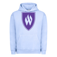 Pigment Grape Ice weber st, education Urban Hoodie - linhVisuals
