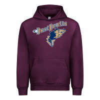Mauve Wine tri city dust baseball Urban Hoodie - linhVisuals