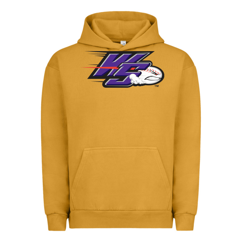 Winston Salem Dash Urban Hoodie by linhVisuals | Teevron