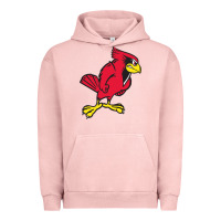 Pigment Salmon illinois state redbirds Urban Hoodie - linhVisuals