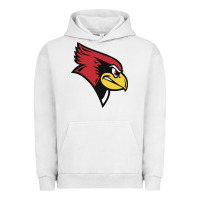 Pigment Lunar Rock illinois state redbirds Urban Hoodie - linhVisuals
