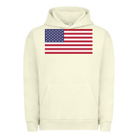 Pigment Pistachio american flag Urban Hoodie - linhVisuals