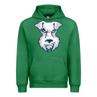 Emerald st. francis brooklyn terriers Urban Hoodie - linhVisuals