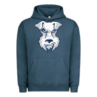St. Francis Brooklyn Terriers Urban Hoodie | Teevron
