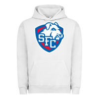 St. Francis Brooklyn Terriers Urban Hoodie | Teevron