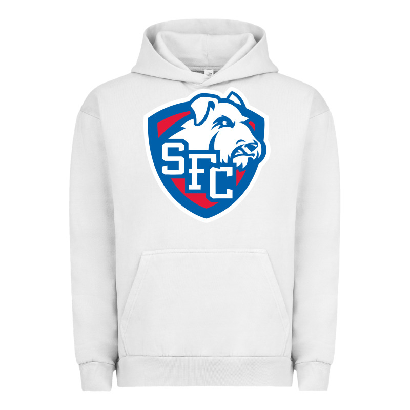 St. Francis Brooklyn Terriers Urban Hoodie by linhVisuals | Teevron