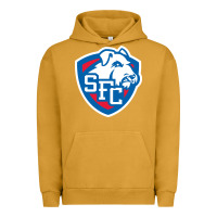 Pigment Peanut Butter st. francis brooklyn terriers Urban Hoodie - linhVisuals
