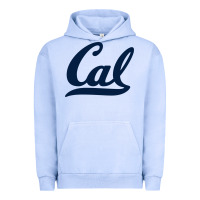 Pigment Grape Ice california Urban Hoodie - linhVisuals