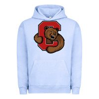 Pigment Grape Ice cornell Urban Hoodie - linhVisuals