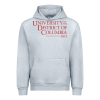 Heather Grey University of the District of Columbia Urban Hoodie - linhVisuals
