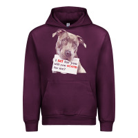 Mauve Wine pitbull t  shirt i sit for you will you stand for me t  shirt Urban Hoodie - linhVisuals