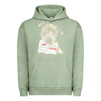 Pigment Oil Green pitbull t  shirt i sit for you will you stand for me t  shirt Urban Hoodie - linhVisuals