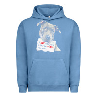 Pigment Pebble Blue pitbull t  shirt i sit for you will you stand for me t  shirt Urban Hoodie - linhVisuals