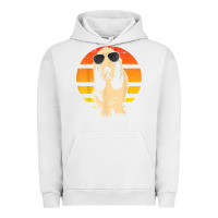 Pigment Lunar Rock retro basset hound t shirt men women kids gift t shirt Urban Hoodie - linhVisuals