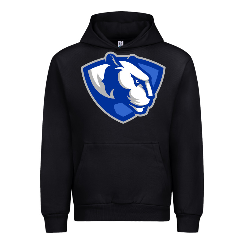 Eastern Illinois Panthers Urban Hoodie by linhVisuals | Teevron