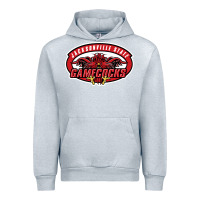 Heather Grey jacksonville state gamecocks Urban Hoodie - linhVisuals