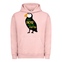 Not Now Arctic Puffin! ,  Not Now Arctic Puffin Urban Hoodie | Teevron