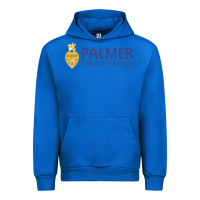 Cobalt college of chiropractic Urban Hoodie - linhVisuals