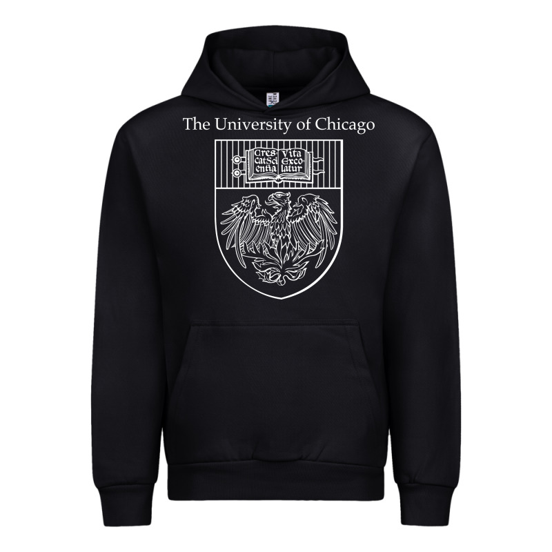 Chicago Urban Hoodie by linhVisuals | Teevron