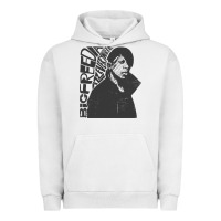 Pigment Lunar Rock big freedia rap müsic Urban Hoodie - linhVisuals