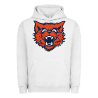 Pigment Lunar Rock evanston township high school Urban Hoodie - linhVisuals