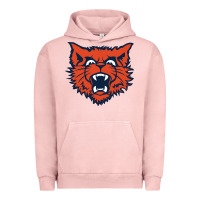 Pigment Salmon evanston township high school Urban Hoodie - linhVisuals