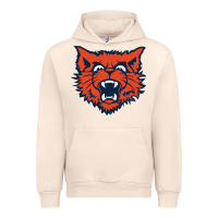 Sandshell evanston township high school Urban Hoodie - linhVisuals