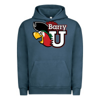 Pigment Midnight Navy barry Urban Hoodie - linhVisuals