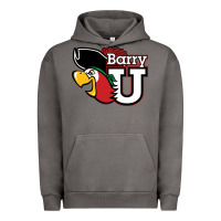 Pigment Tornado barry Urban Hoodie - linhVisuals