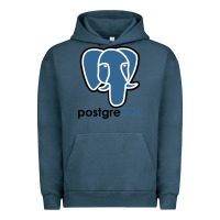 Pigment Midnight Navy Postgresql Urban Hoodie - linhVisuals