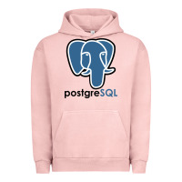 Pigment Salmon Postgresql Urban Hoodie - linhVisuals