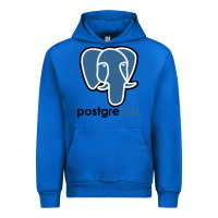 Cobalt Postgresql Urban Hoodie - linhVisuals