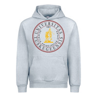 Heather Grey Tuskegee University Urban Hoodie - linhVisuals