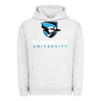 Pigment Lunar Rock elmhurst university Urban Hoodie - linhVisuals