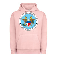 Pigment Salmon department of redundancy department Urban Hoodie - linhVisuals