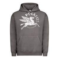Pigment Tornado ivory pegasus Urban Hoodie - linhVisuals