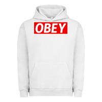 Pigment Lunar Rock obey Urban Hoodie - linhVisuals