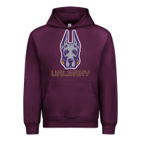 Ualbany Great Danes Urban Hoodie | Teevron