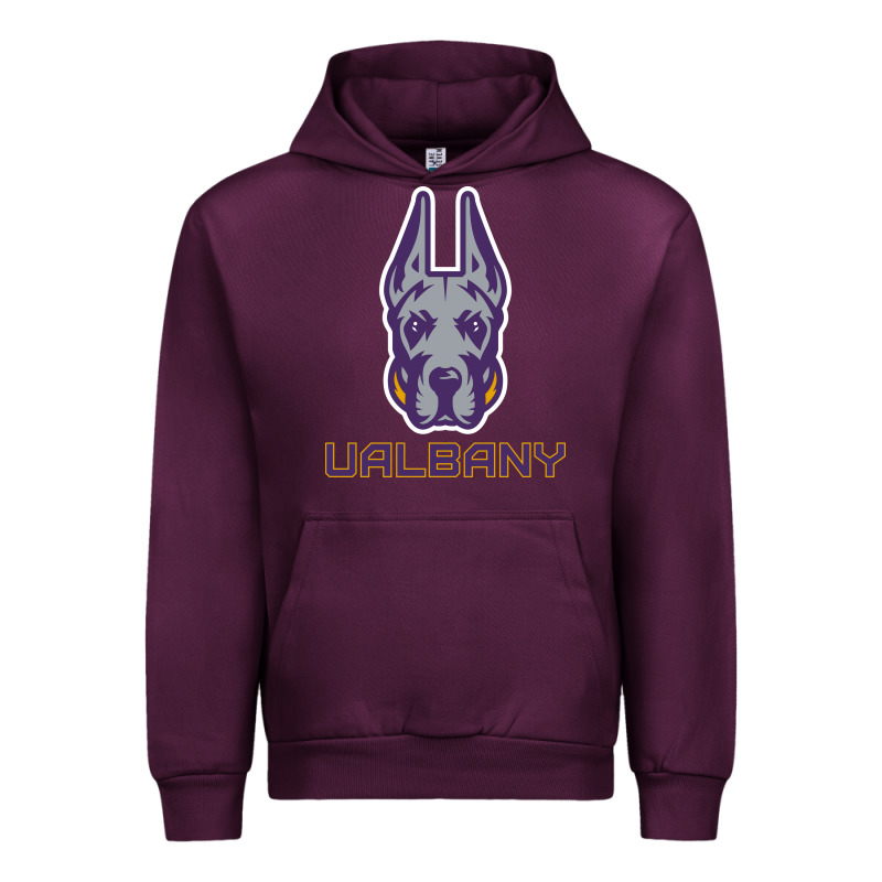 Ualbany Great Danes Urban Hoodie by linhVisuals | Teevron