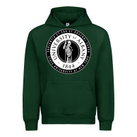 Forest Green University Albany Suny Urban Hoodie - linhVisuals